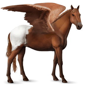 pégase de selle quarter horse bai