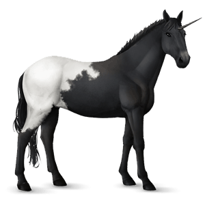 licorne de selle appaloosa blanket noir