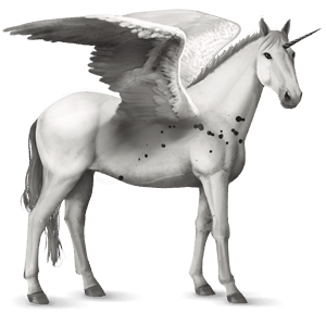 licorne de selle ailée donskaya bai brûlé