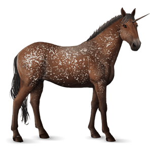 licorne de selle bai brûlé