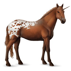 licorne de selle bai cerise