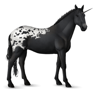 licorne de selle knabstrup spotted noir