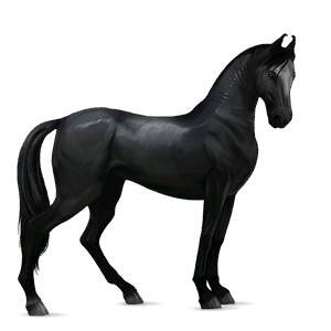cheval de selle alezan