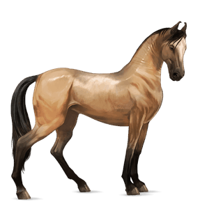 cheval de selle pure race espagnole isabelle