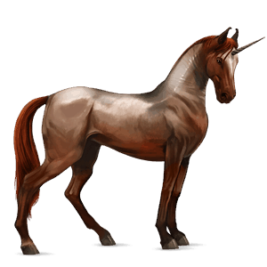 licorne de selle marwari pie alezan overo
