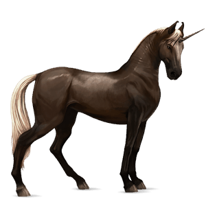 licorne de selle brumby isabelle