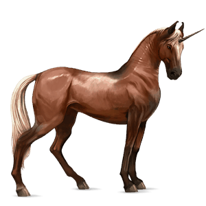 licorne de selle quarter horse alezan brûlé