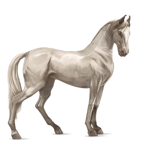 cheval de selle lusitanien gris clair