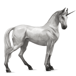 licorne de selle marwari gris clair