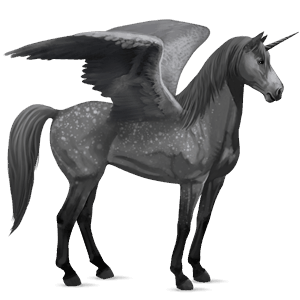 licorne de selle ailée morgan noir