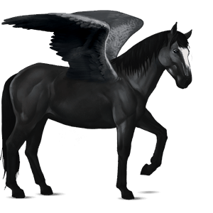 pégase de selle paint horse pie overo noir