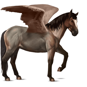 pégase de selle quarter horse alezan brûlé crins lavés