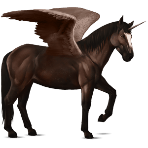 licorne de selle ailée quarter horse bai cerise