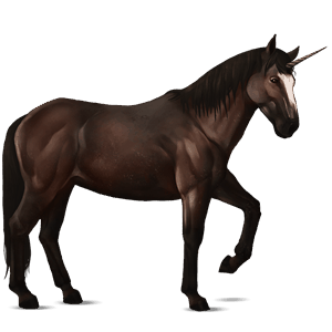 licorne de selle bai brûlé