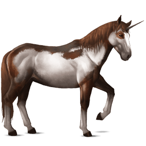 licorne de selle nokota pie alezan overo