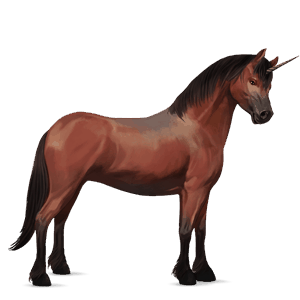 poney licorne quarter pony bai