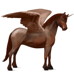poney licorne ailé welsh bai brûlé