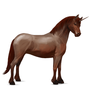 poney licorne quarter pony alezan