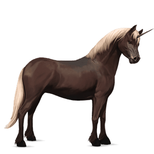 poney licorne bai brûlé
