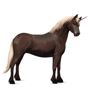 poney licorne highland pony gris souris
