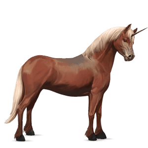 poney licorne haflinger alezan crins lavés