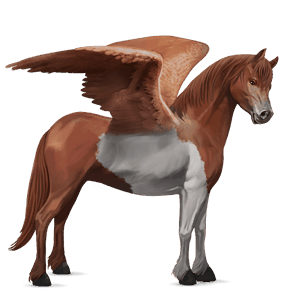 poney pégase kerry bog pie tobiano alezan