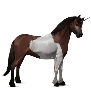 poney licorne alezan crins lavés