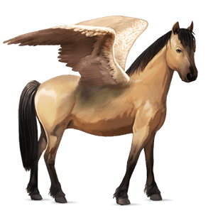 poney pégase brunblakk