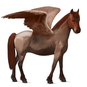 poney pégase welsh alezan