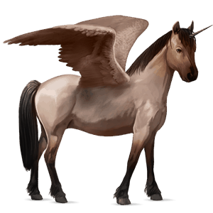 poney licorne ailé pottok rouan