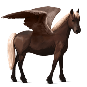 poney pégase haflinger alezan brûlé crins lavés
