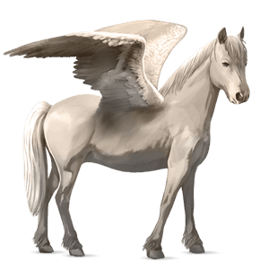 poney pégase haflinger palomino