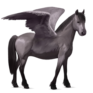poney pégase pie tobiano bai brûlé