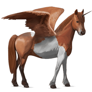 poney licorne ailé pottok pie tobiano bai