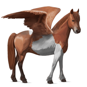 poney pégase haflinger alezan crins lavés