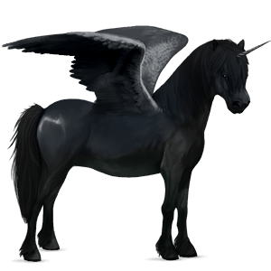 poney licorne ailé noir
