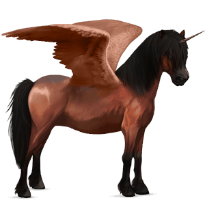 poney licorne ailé bai cerise