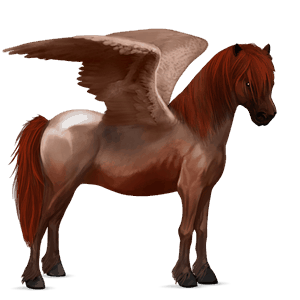 poney pégase poney de selle belge alezan