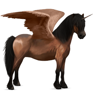 poney licorne ailé poney de selle belge alezan crins lavés