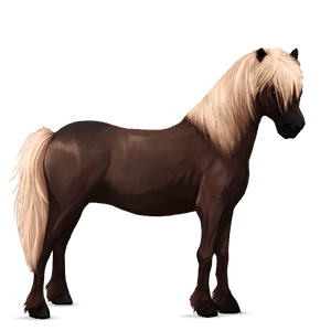 poney dartmoor alezan crins lavés