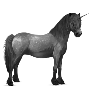 poney licorne kerry bog gris pommelé