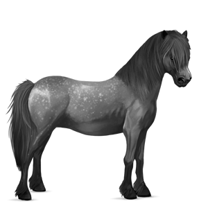 poney quarter pony palomino