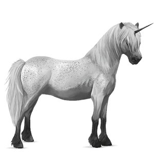 poney licorne bai