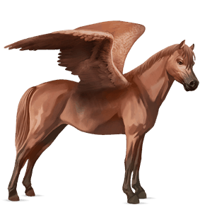 poney pégase quarter pony alezan