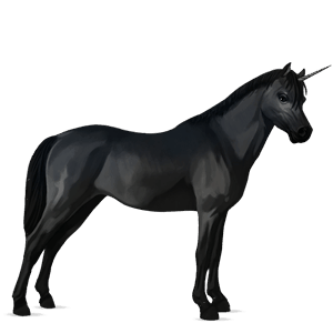 poney licorne poney de terre-neuve noir