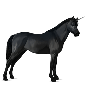 poney licorne quarter pony noir