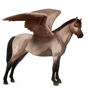 poney pégase aubère