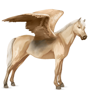 poney pégase kerry bog palomino