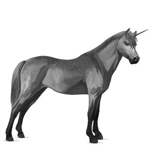 poney licorne highland pony gris pommelé