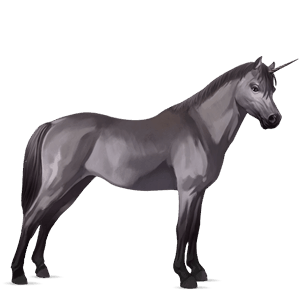 poney licorne noir